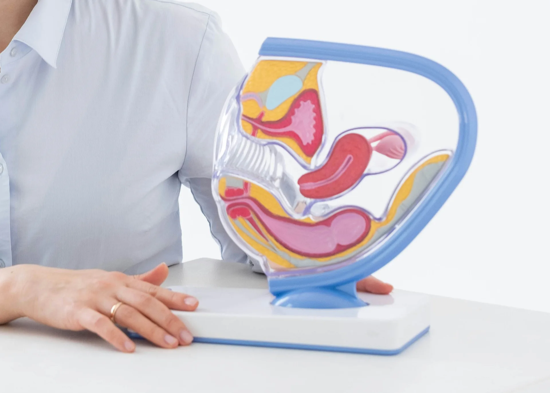 Aesthetic Gynecology